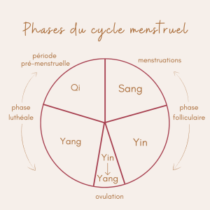 Cycle menstruel Douleurs menstruelles Acupuncture et médecine chinoise